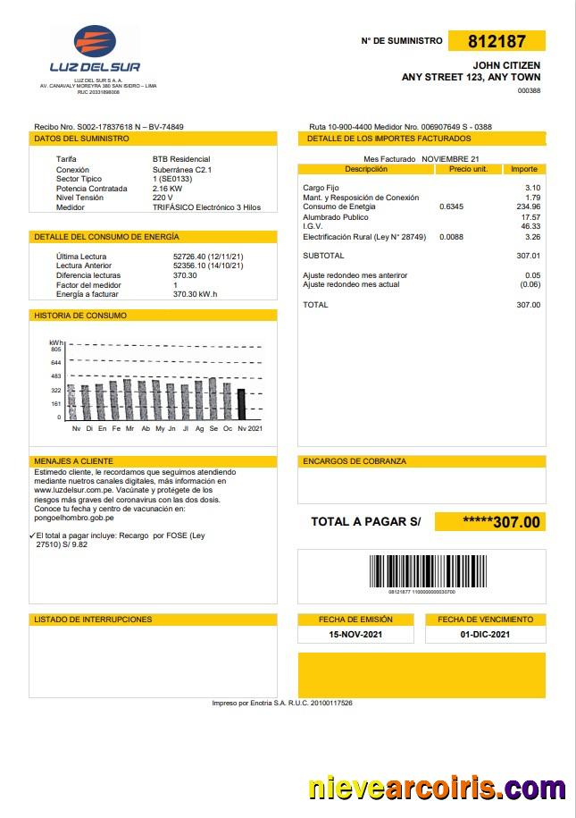 Peru Luz de Sur utility bill